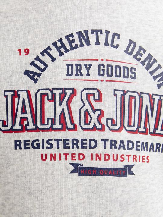 Produktbild Jack & Jones JJELOGO SWEAT HOOD 2 COL 24/25 NOOS JNR (164)