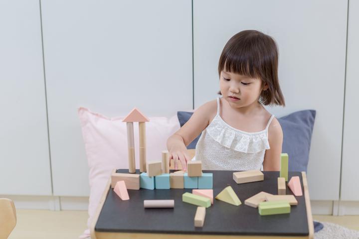 Image du produit Plantoys 40 blocs de bois pastel