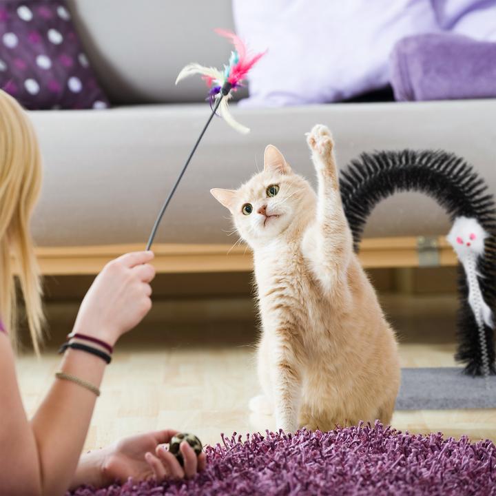 Image du produit Relaxdays Arche de grattage pour chats, support pour soins de la fourrure (Chat)