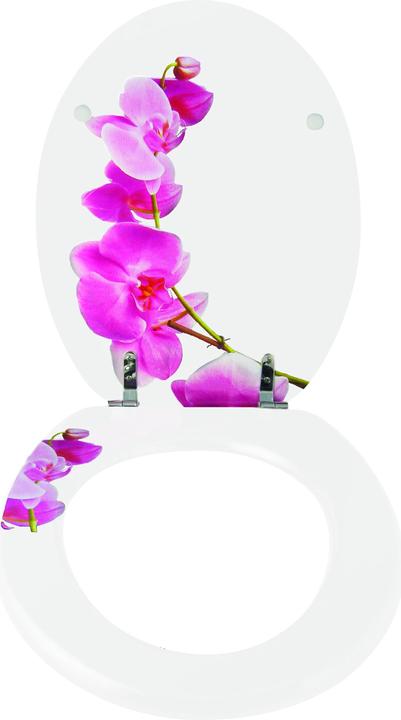 Produktbild MSV Lanyu