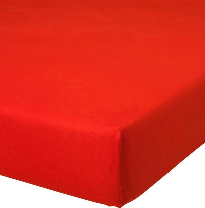 Rot