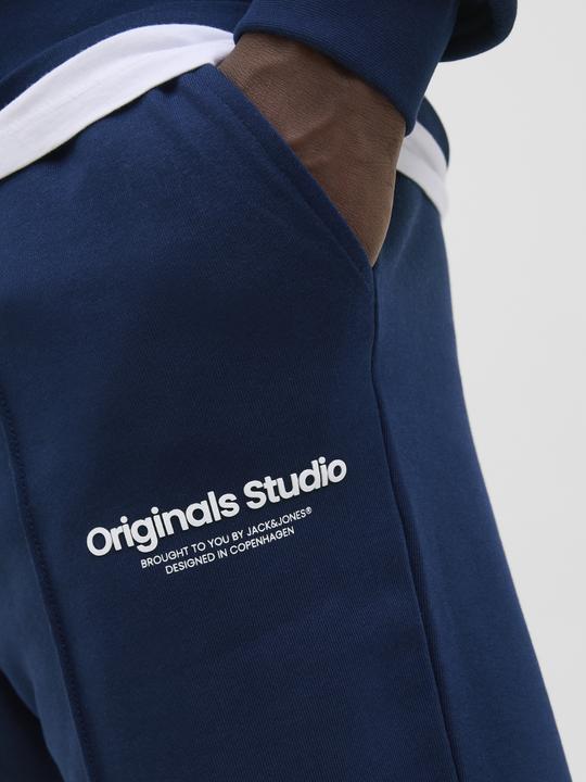 Actual product image Jack & Jones Jpstkane Vesterbro Sweat Shorts Lng Sn (L)