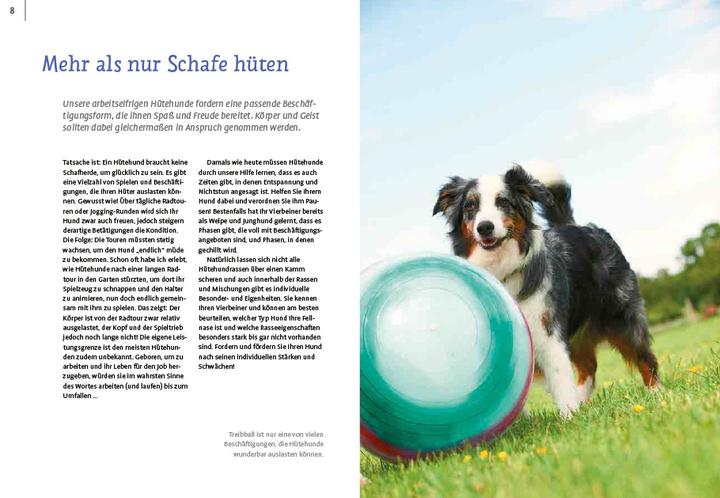 Produktbild Spiele und Action für ausgeglichene Hütehunde (Deutsch, Marion Albers, 2023)