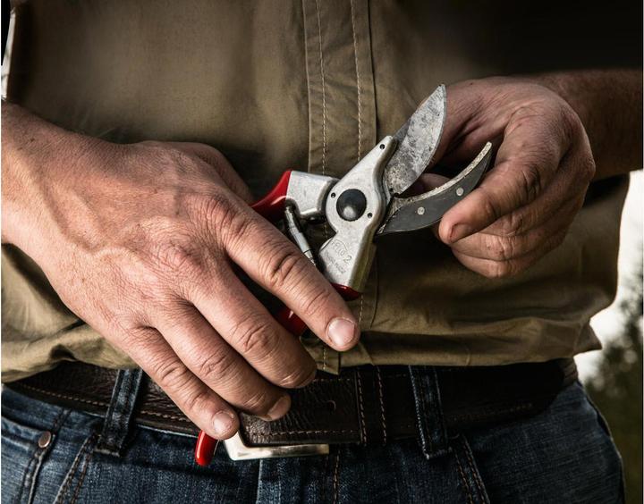 Actual product image Felco 2