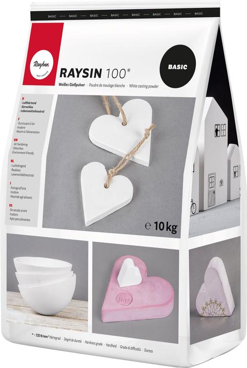 Immagine prodotto Rayher Gie polvere Raysin 100, bianco, sacchetto