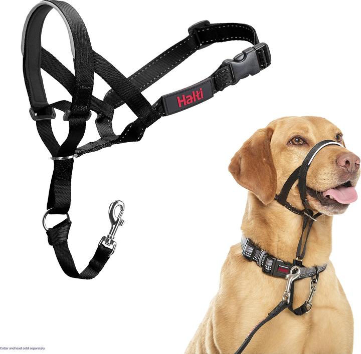 Produktbild Company of Animals Halti Black Kopfgeschirr 3 (3, Hund, Hundesport)