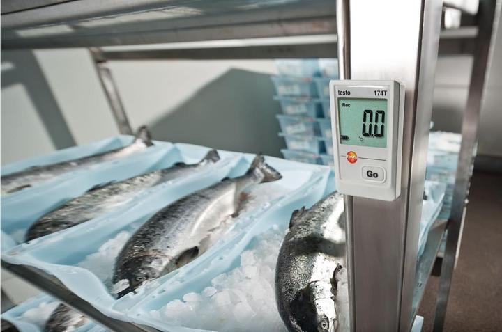 Produktbild Testo Temperatur-Datenlogger 174T Se (Thermometer)