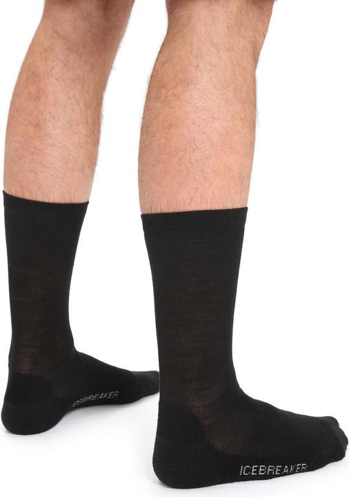 Actual product image Icebreaker Lifestyle Light Crew (39 - 41.5)