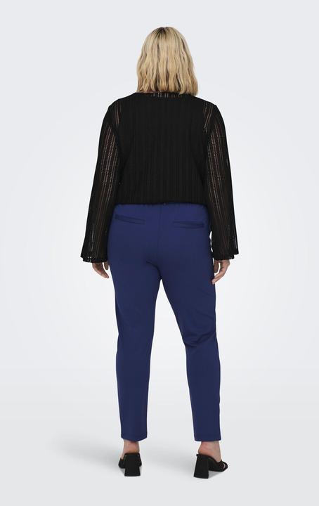Image du produit Only Curvy pantalon uni (54)
