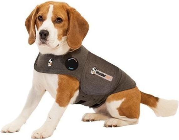 Thundershirt Polo (M, Hundeweste)