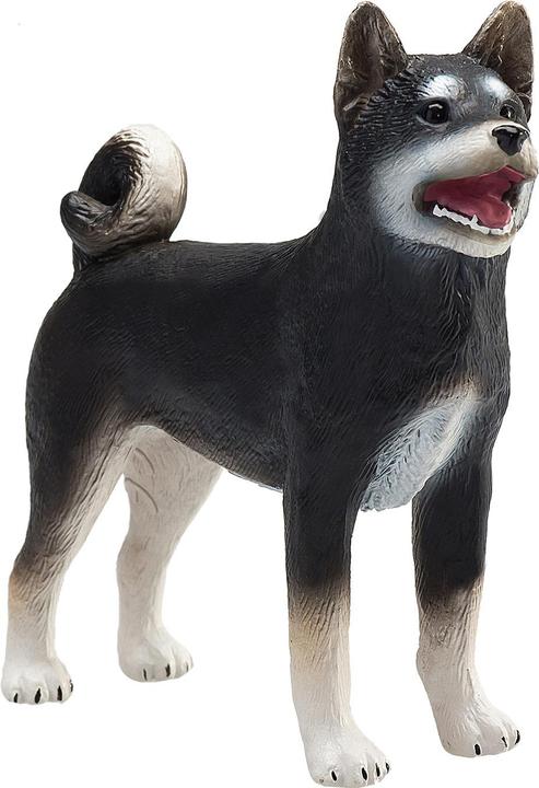 Actual product image Animal Planet Shiba Inu
