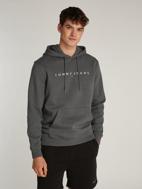 Actual product image Tommy Jeans Tjm Reg Linear Logo Hoodie Ext (S)