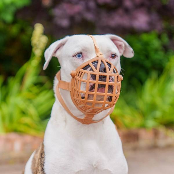 Immagine prodotto Baskerville Maulkorb Wide Fit (Cane)