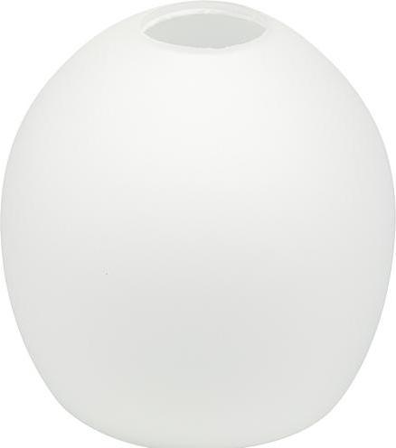 Image du produit Orion 41098 Verre de lampe D10