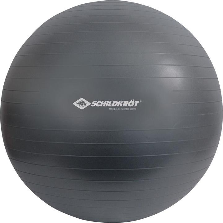 Produktbild Schildkröt Gymnastikball (85 cm)