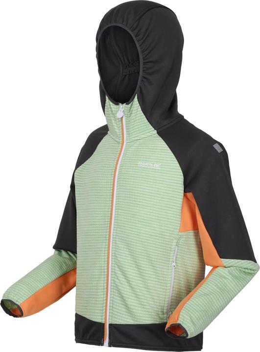 Produktbild Regatta Prenton II Softshelljacke mit Kapuze (104)