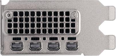 Actual product image PNY Quadro RTX 2000 ADA 16GB GDDR6 4xmDP (16 GB)