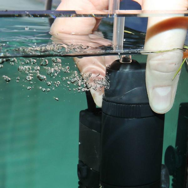 Produktbild JBL Aquaristik und Terraristik Aquarium-Innenfilter JBL ProCristal i30 (40 l, Innenfilter, Süsswasser)