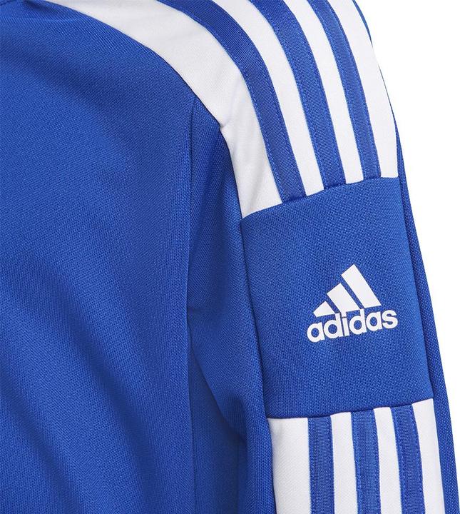 Actual product image adidas Squadra 21 Training Top Kids (152)