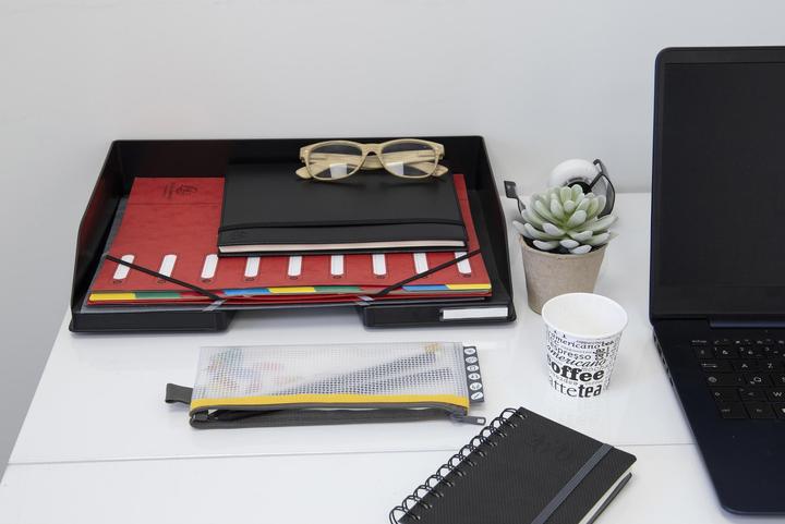 Productafbeelding Exacompta HARMONIKA - A4 dossiermappen (A4, 1 x)
