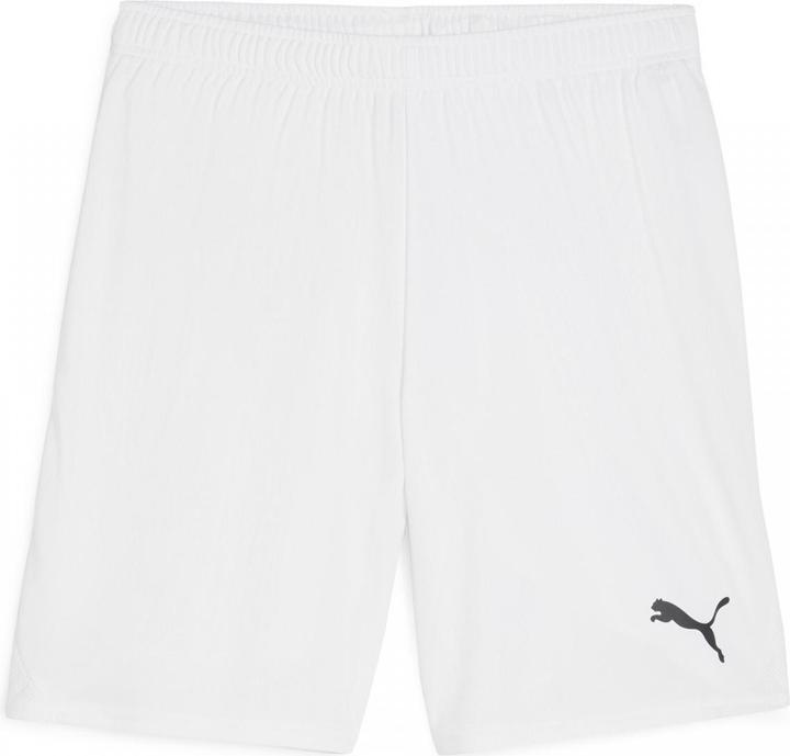 Actual product image Puma teamGOAL shorts (L)
