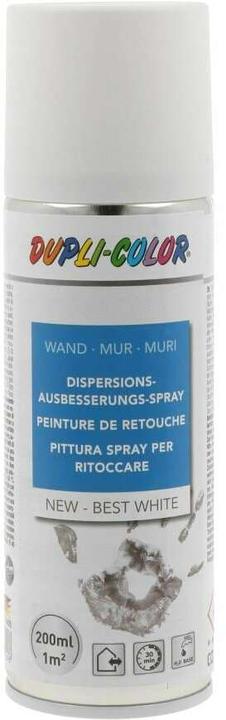 Dupli-Color Dispersion Touch Up Spray (Opaque White, 0.20 l)