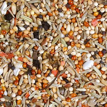 Immagine prodotto JR Farm Uccelli Premium Cockatiel (1 x, 1 kg)