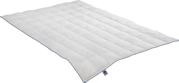 Actual product image Irisette 4-season down duvet Luna (920 g, 135x200 cm)