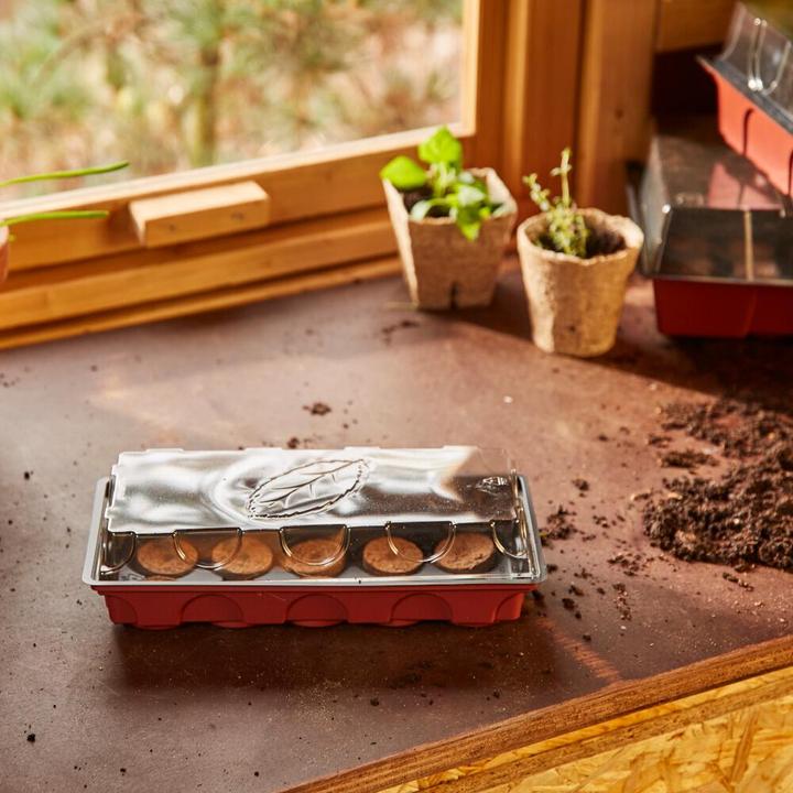 Produktbild Siena Garden Anzuchtgewächshaus