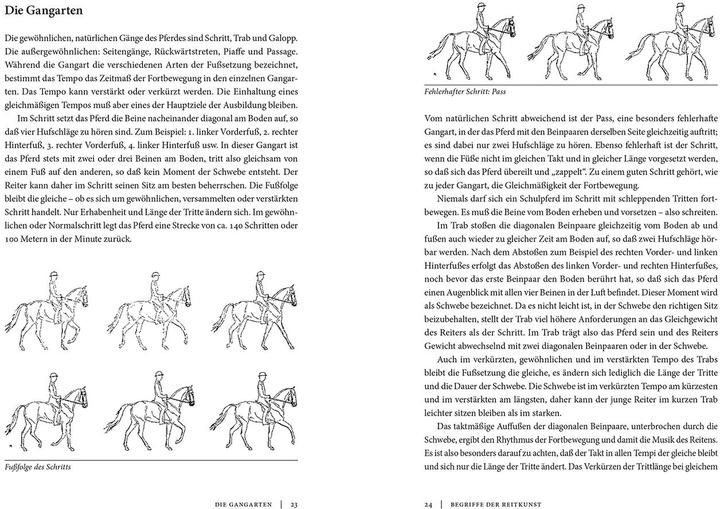 Produktbild Kosmos Die klassische Reitkunst (Deutsch, Alois Podhajsky, 2024)