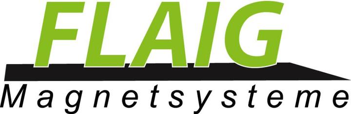 Image du produit Magni Aimant de levage FX-300 FLAIG