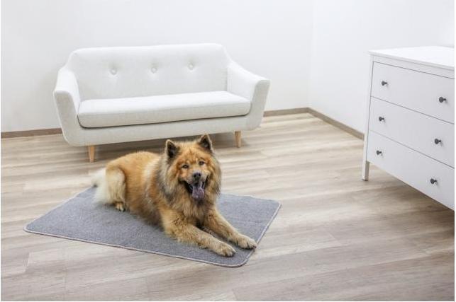 Actual product image Kerbl Thermal carpet (Dog)