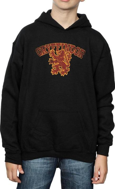 Immagine prodotto Gryffindor Sport Emblem Felpa con Cappuccio Ragazzi (140, 146)