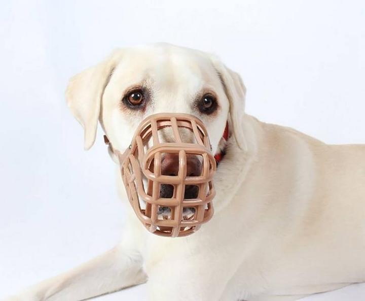 Actual product image Company of Animals Classic muzzle Baskerville (Dog)