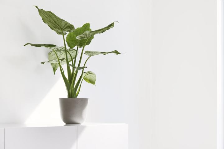 Produktbild Ecopots Oslo Mini (19 cm)