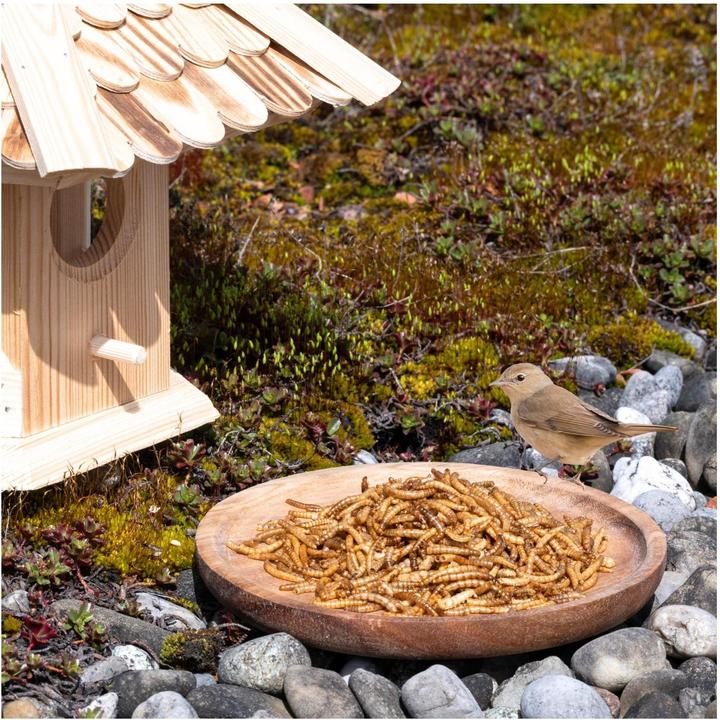 Produktbild Lyra Pet Mehlwürmer getrocknet (10 kg, 1 x)