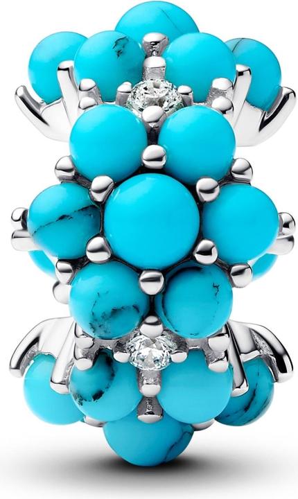 Image du produit Pandora Charm Océan de couleur turquoise (Argent 925)