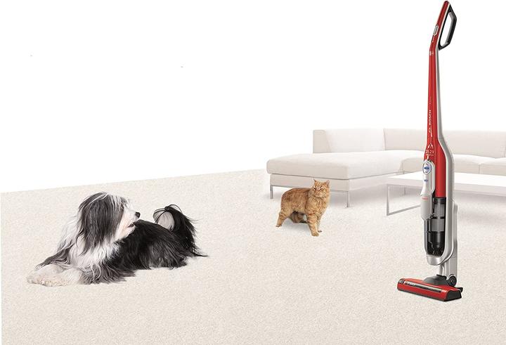 Produktbild Bosch Hausgeräte Athlet Zoo'o BCH6ZOOO