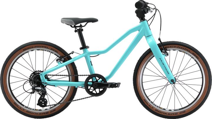 Turquoise