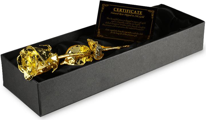 Image du produit Mikamax Rose d'or (30 cm)