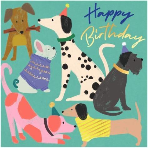 Produktbild Laura Darrington Geburtstagskarte Hunde - Happy Birthday