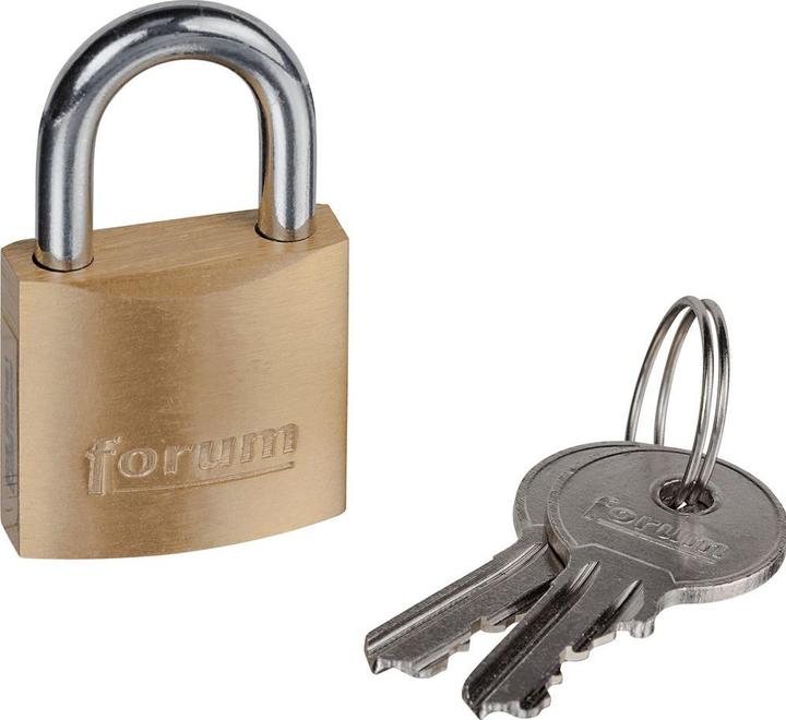 Actual product image Forum Professional Solutions Brass padlock