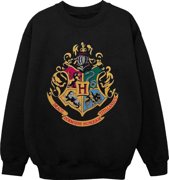 Actual product image Boys Hogwarts Crest Gold Ink Sweatshirt (152, 158)
