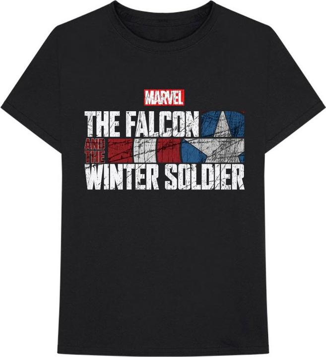 Marvel Falcon & Winter Soldier Text Logo