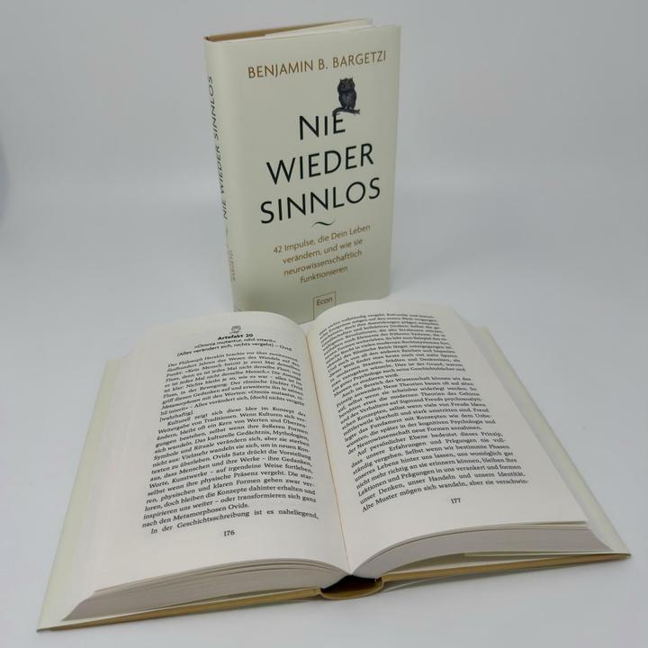 Immagine prodotto Nie wieder sinnlos (Tedesco, Benjamin B. Bargetzi, 2025)