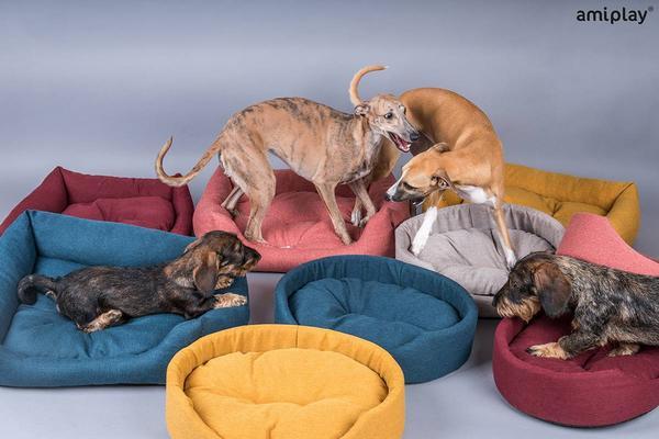 Actual product image amiplay Basket Montana XXL, 86x76x17.5 cm, yellow (Dog)