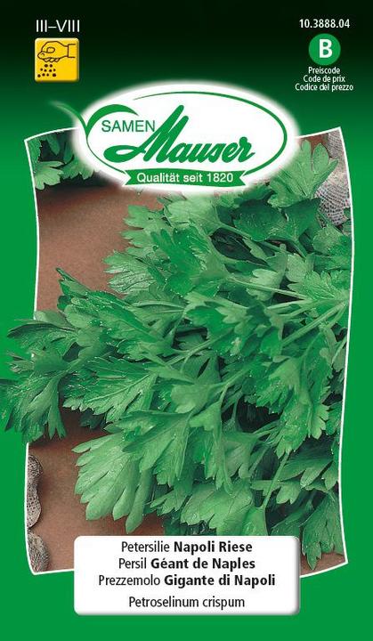 Produktbild Samen Mauser Petersilie Napoli-Riese (Kräutersamen)