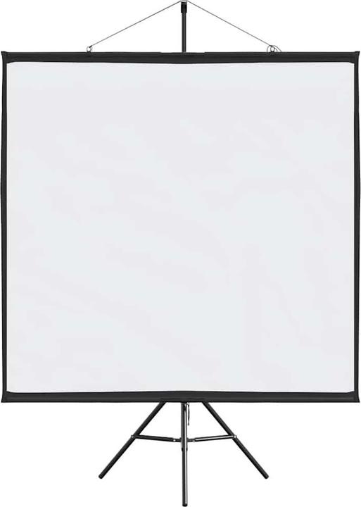 Actual product image VidaXL Projector screen with tripod 81 inch 1:1 projection screen Screen (81", 1:1)