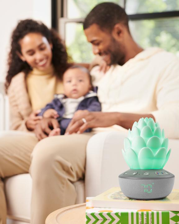 Actual product image Skiphop Succulent night light