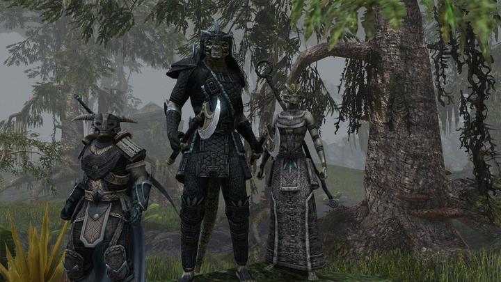 Immagine prodotto Bethesda The Elder Scrolls Online Tamriel Unlimited (Xbox One S)